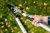 40-412_photo