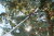 Web Image Extra-FELCO 290_08.png