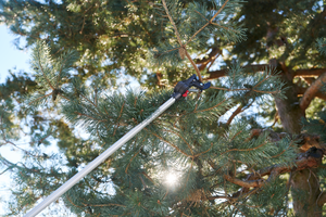 Web Image Extra-FELCO 290_08.png