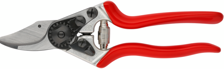 Web image-FELCO 6.png
