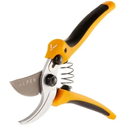 2664.