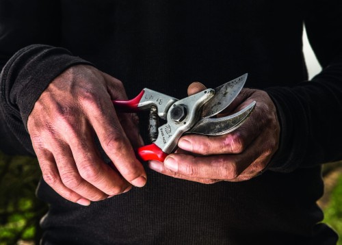 FELCO_4_Corporate